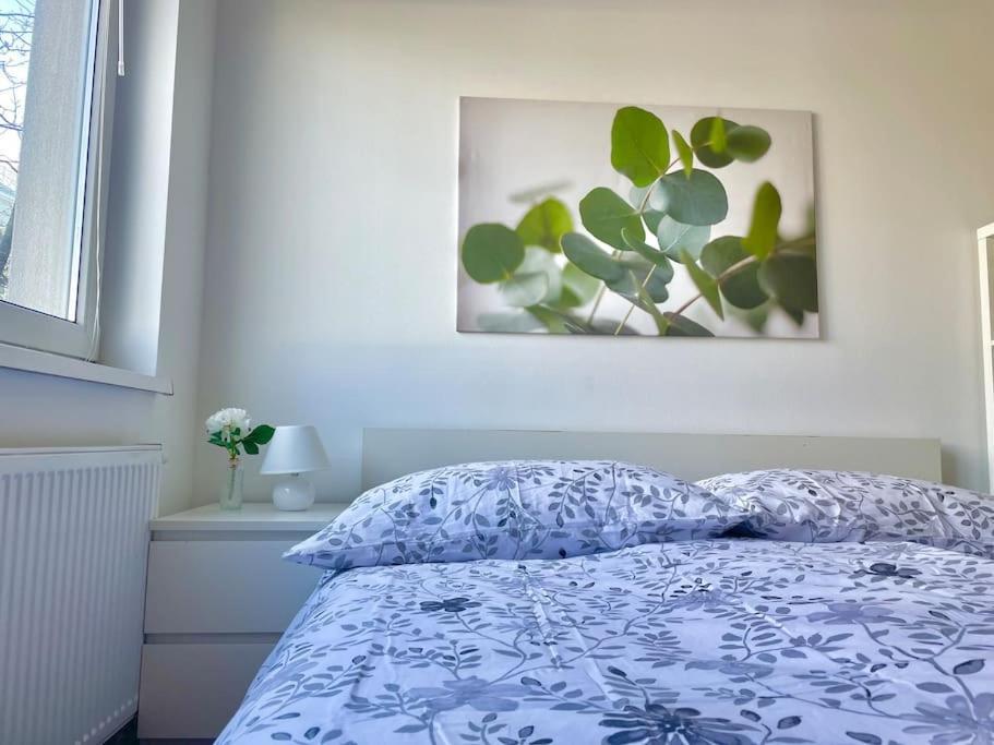 90 M2 Central With Balcony Vienna
