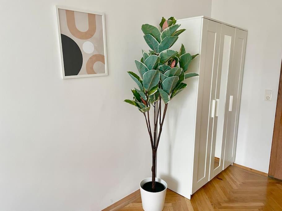 Apartment 110m2 Stylish 4 Bedroom