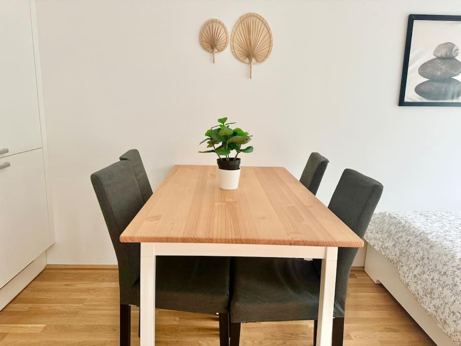Rooftop With Balcony & Free Parking Viena