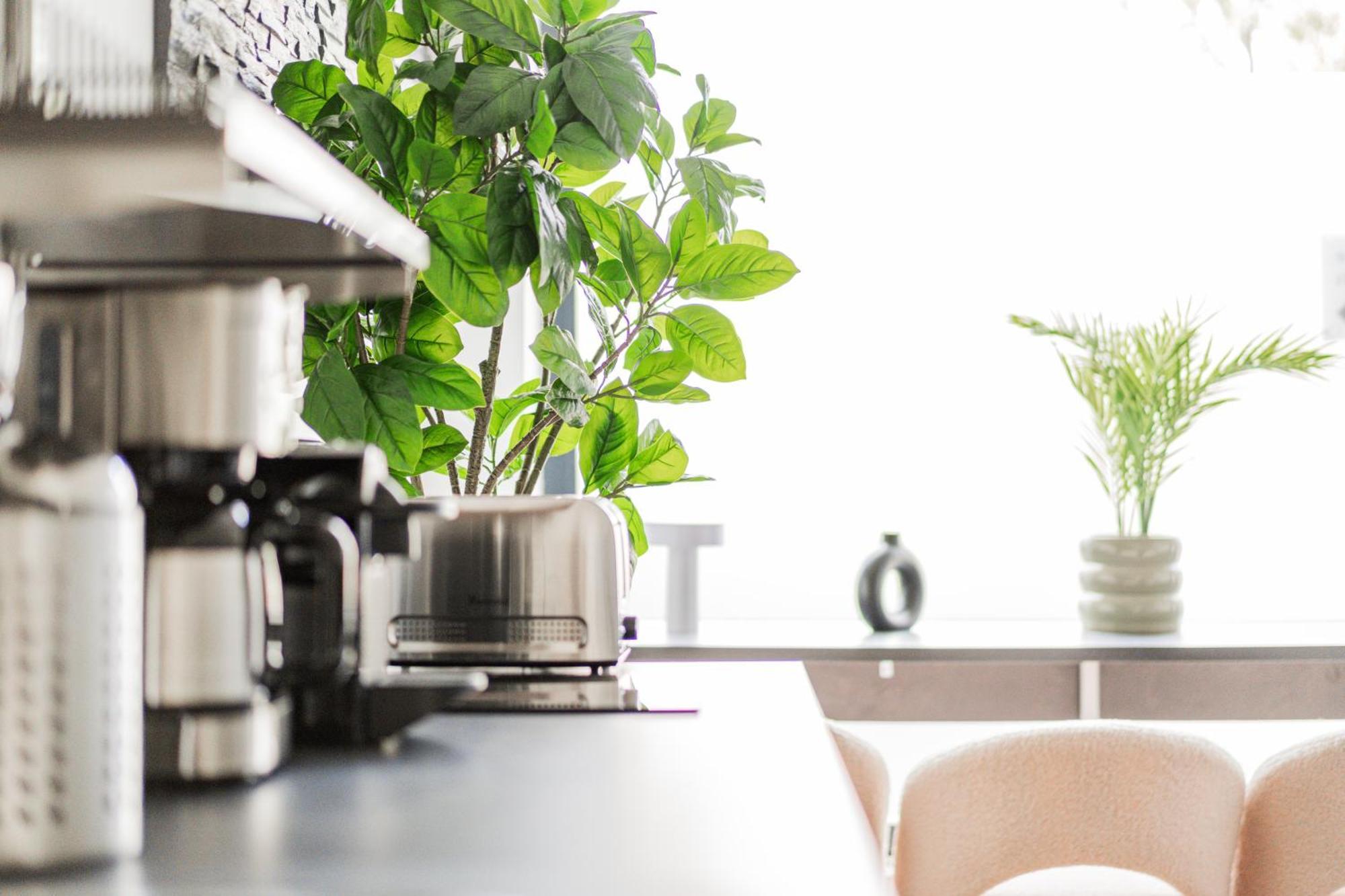 Apartment Design Loft Im Souterrain In Top Lage