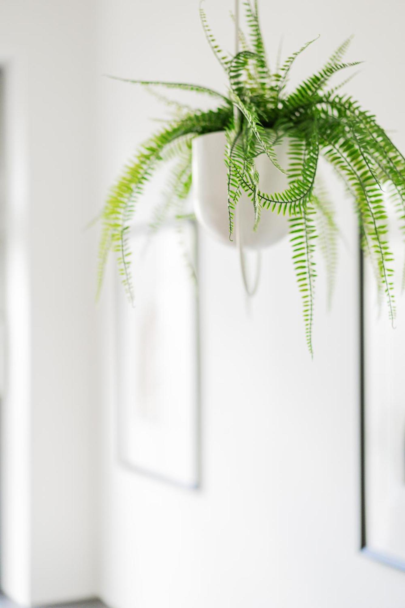 Design Loft Im Souterrain In Top Lage Apartment *