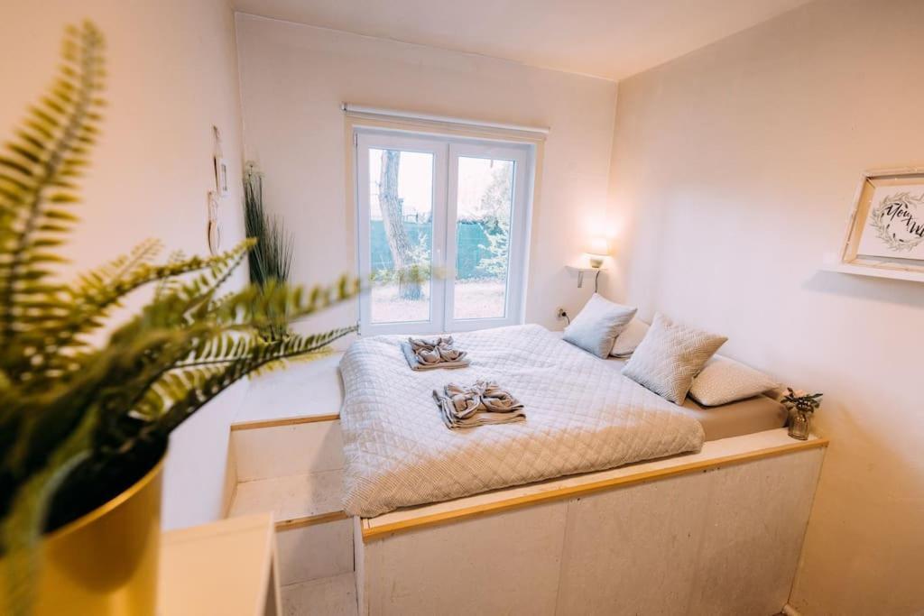 Holiday home Cozy Inklusive Free Parking Vienna
