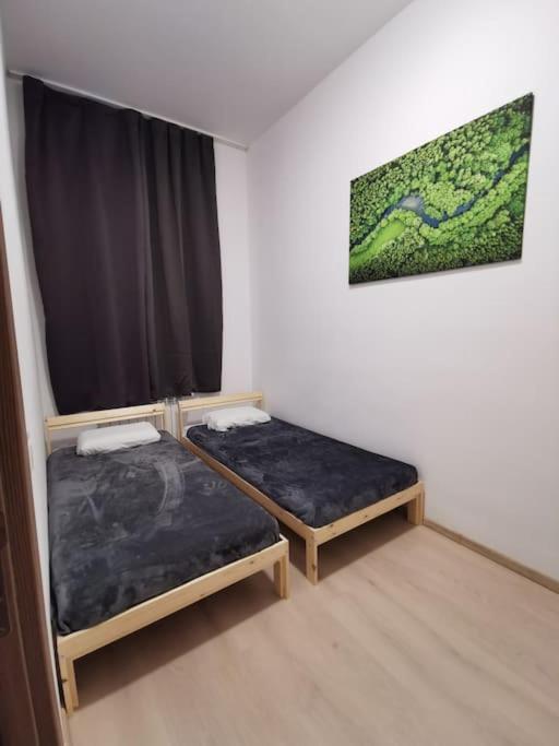 Cool Apartment *