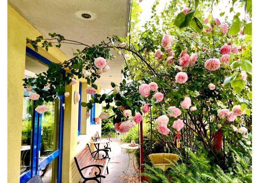 Gaestezimmer Puzwidu Bed & Breakfast