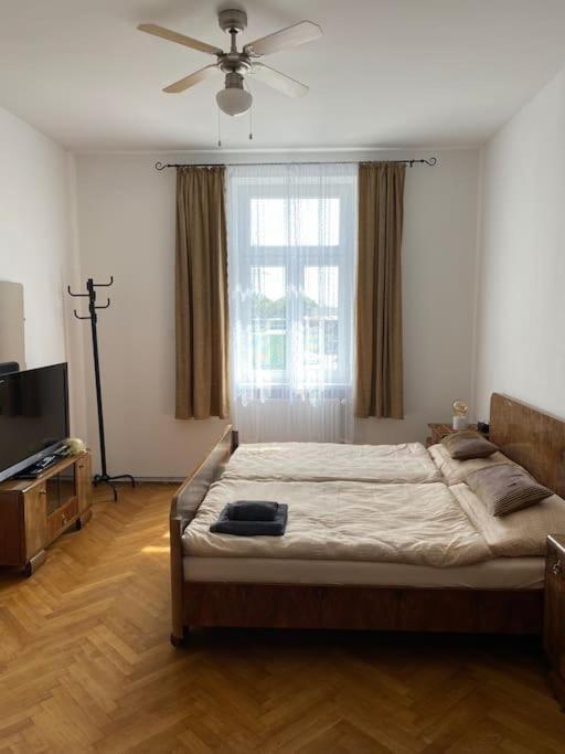 Herrenhaus Hoeniger Flughafen 11min/wienmitte 12min Vienna