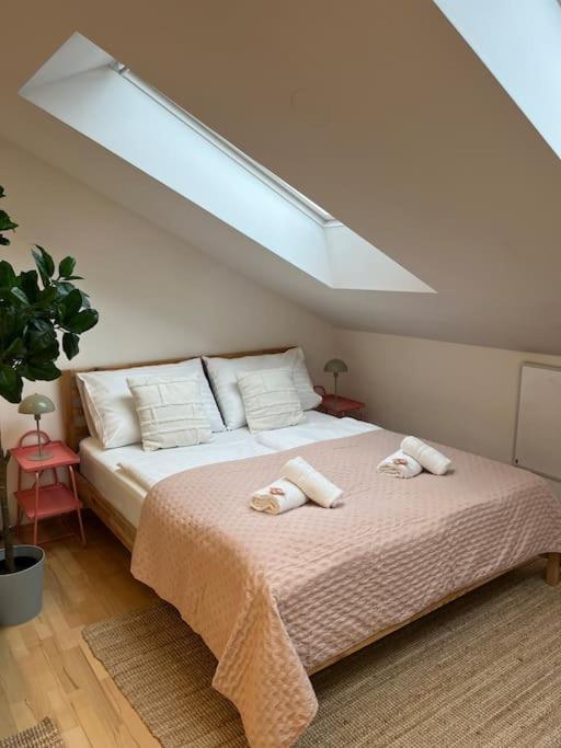 Apartment Dreamy & Cozy With Air Condition