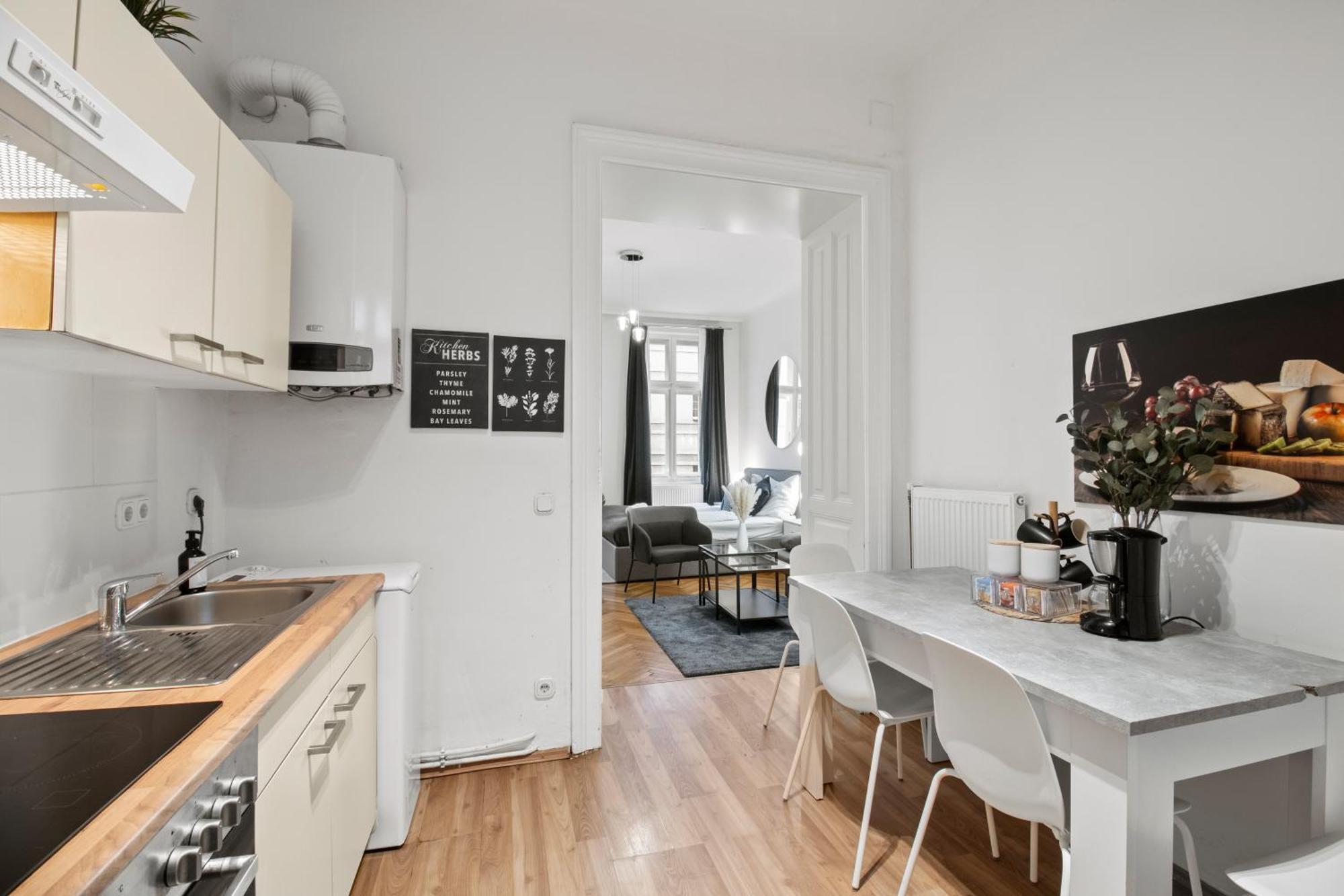 Apartment Next To Shopping Street And Subway Station, Few Minutes To Stephansplatz Wien