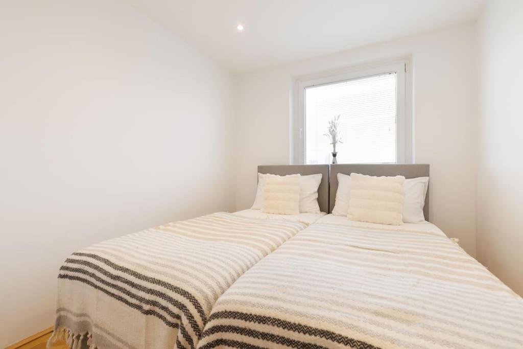 Exclusive 2-bedroom Loft With Scenic Rooftop Views