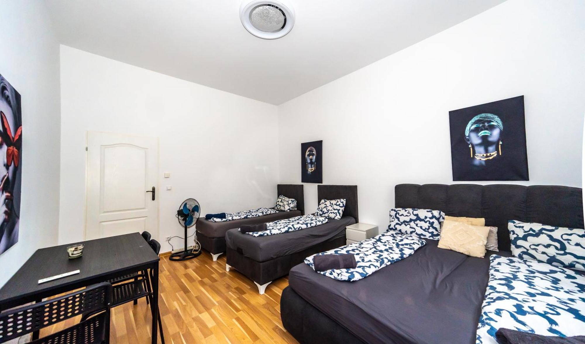 Aparthotel Family Studio- 7 Minutes To Schoenbrunn Palace Viena