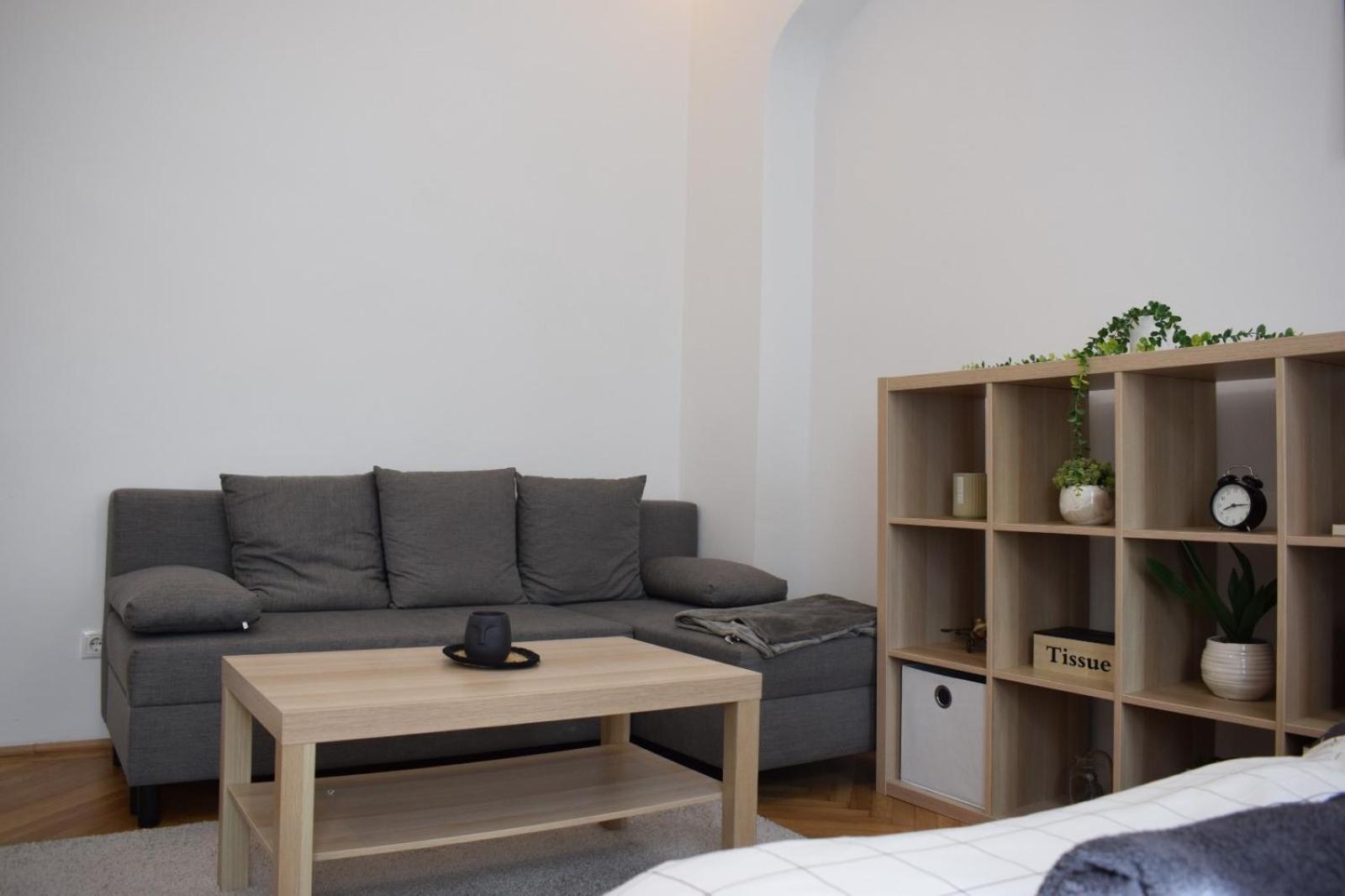 11 Apartment Vienna