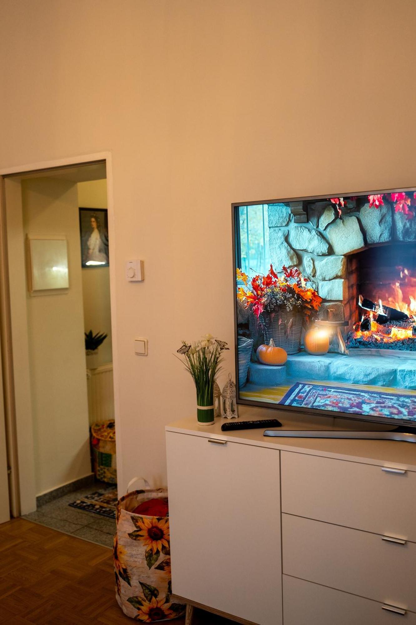 Apartment Victory Premium *