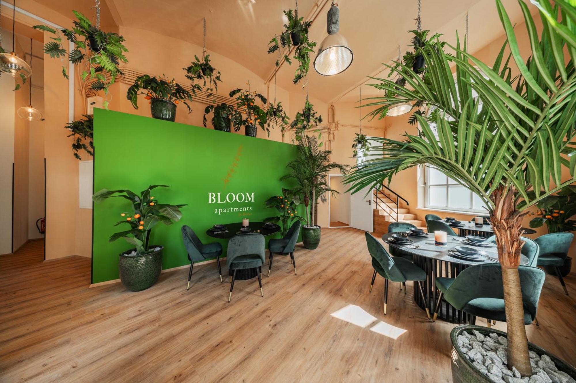 Bloom By Home1 Hostel