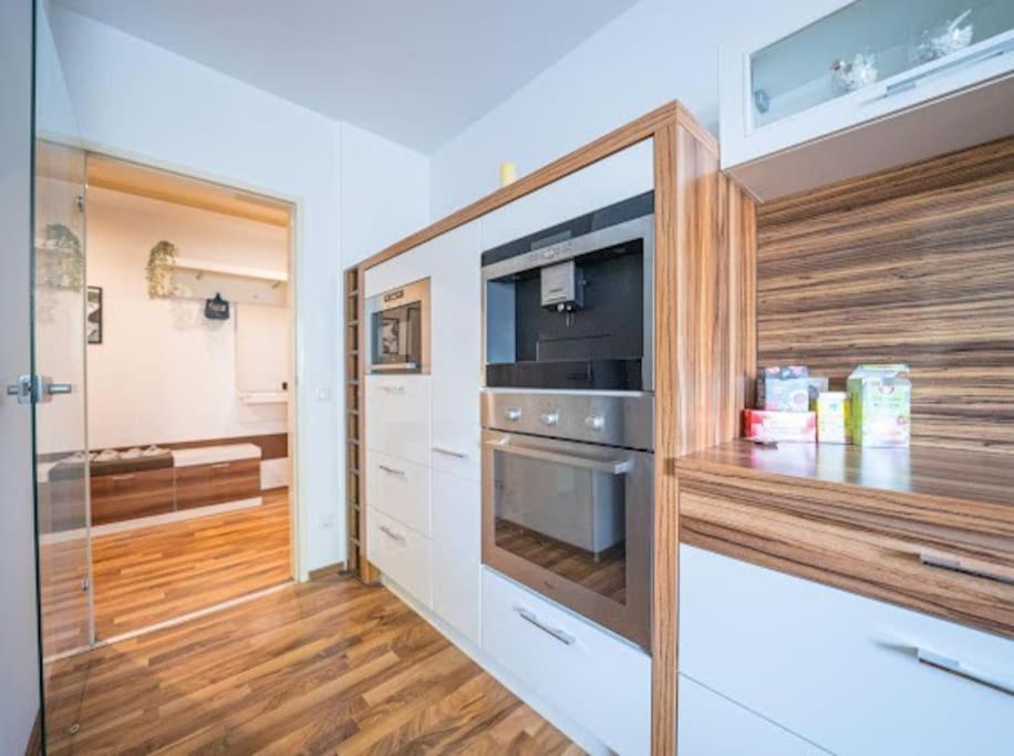 Apartment Big Luxury 3br Near Center Vienna
