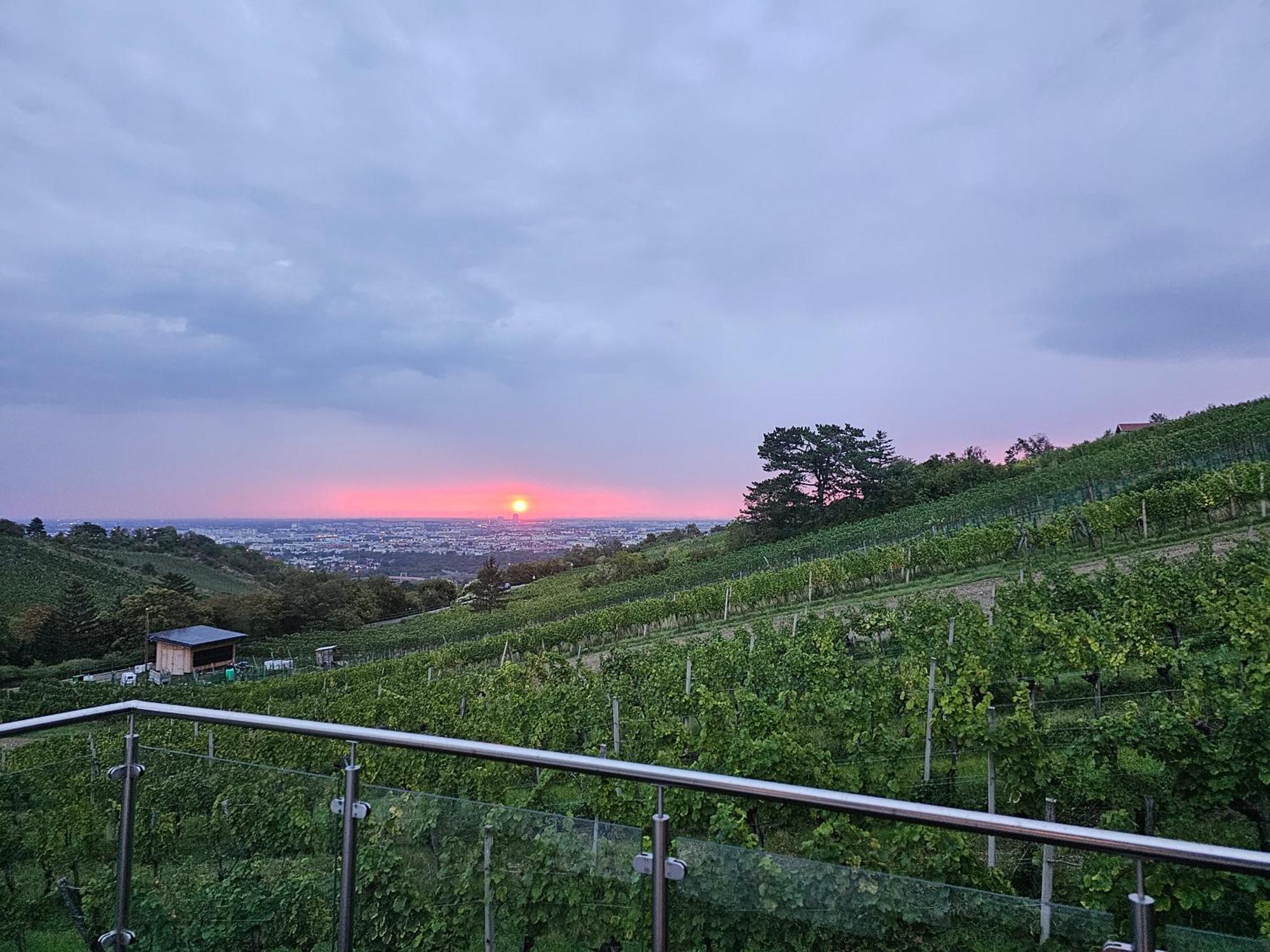 Wine Garden House Holiday home *