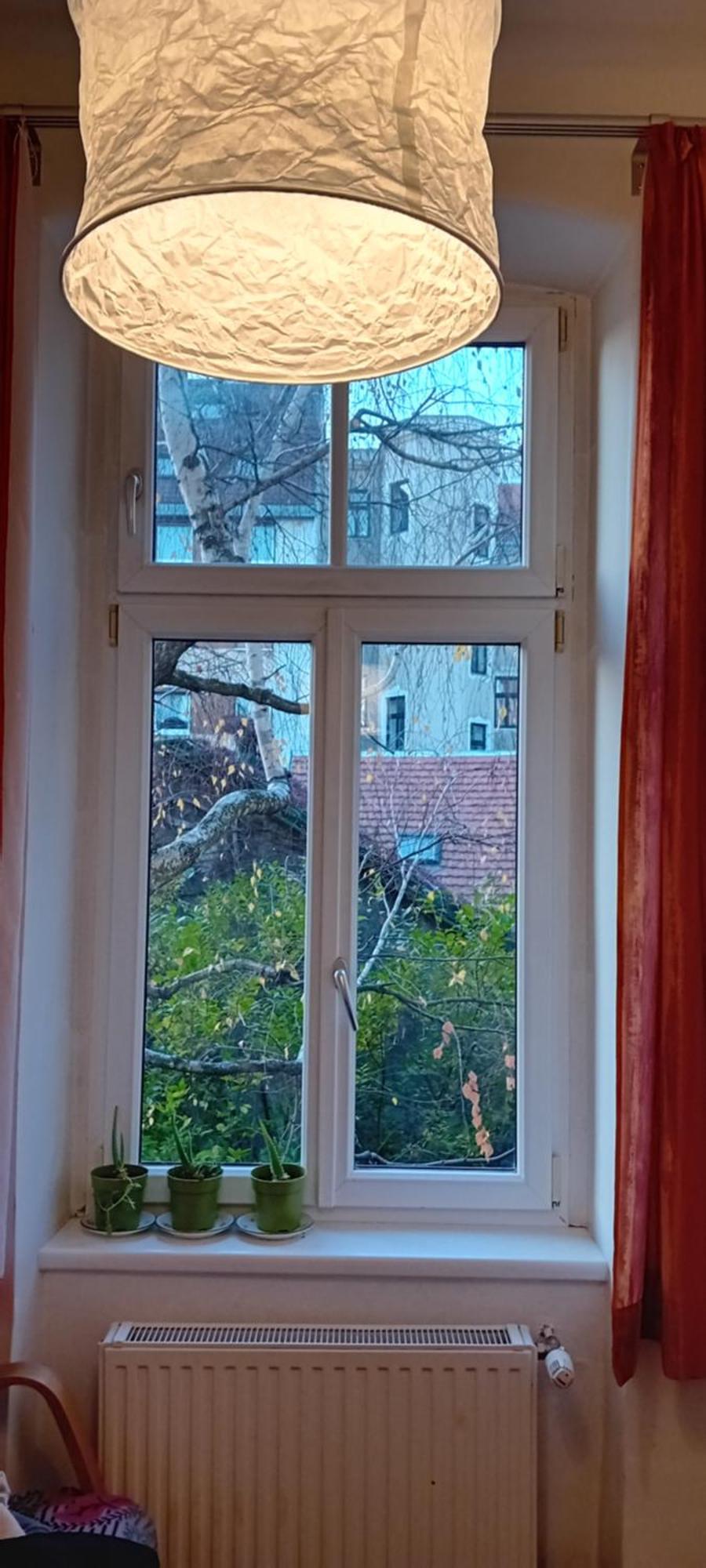 In * Vienna
