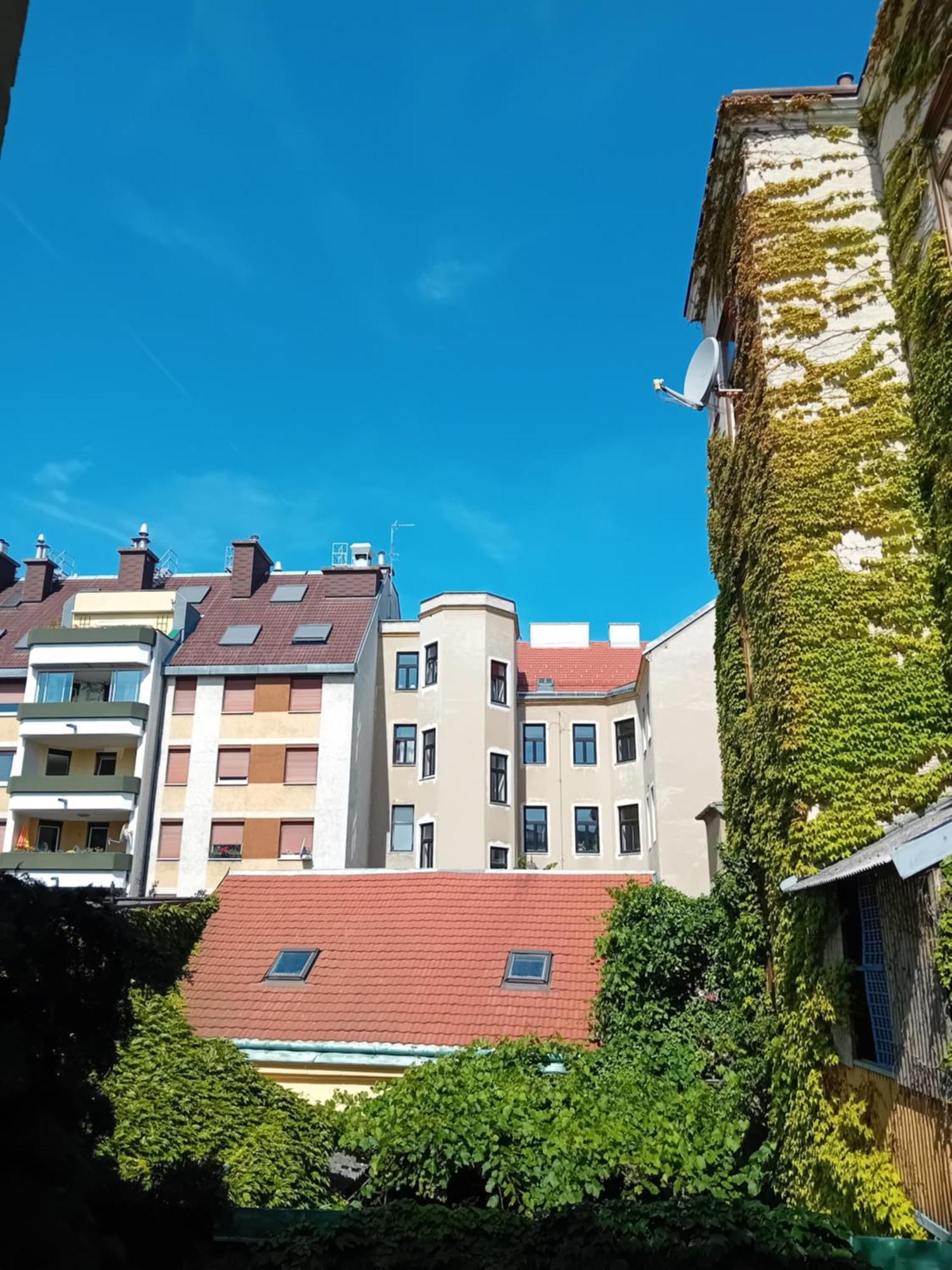 In Homestay Vienna