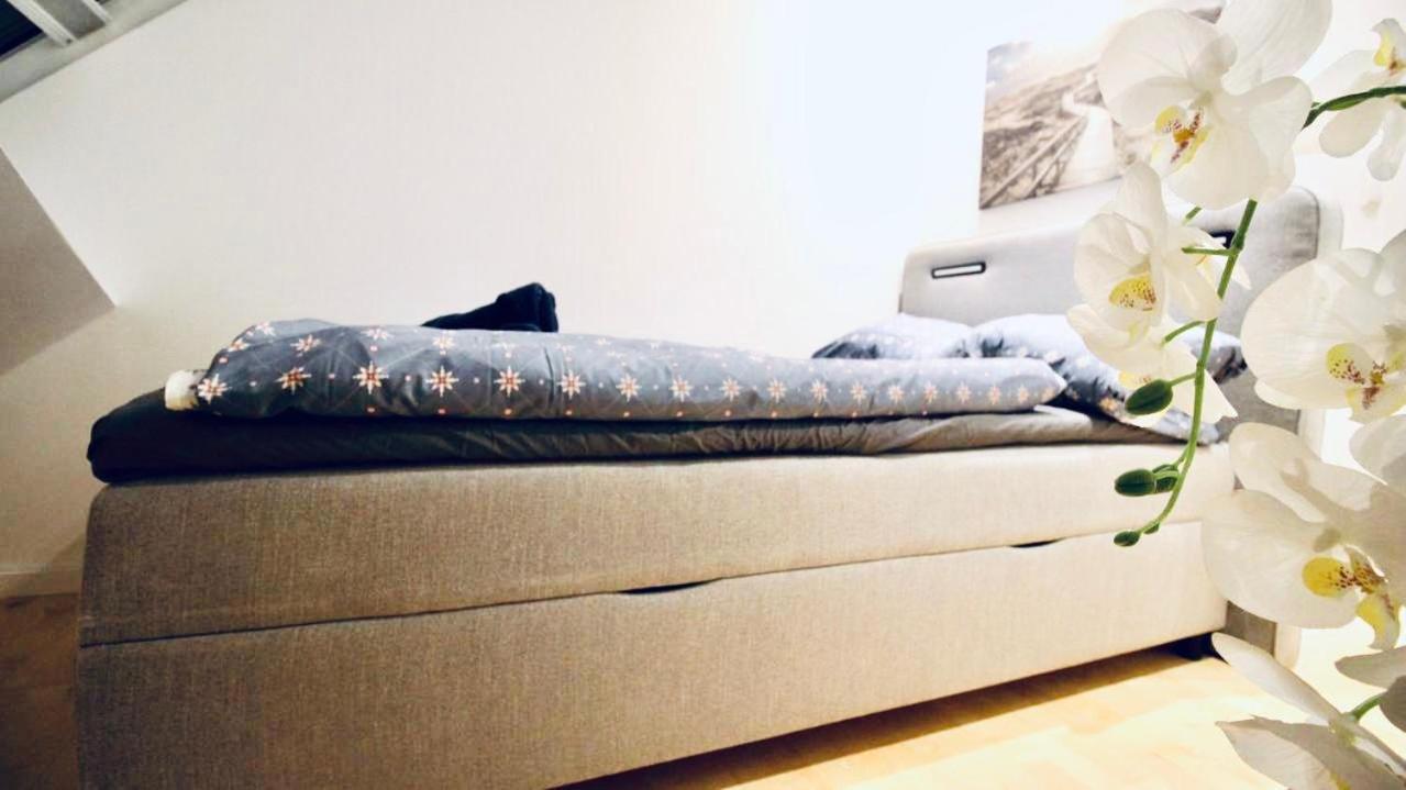 6 Min To Amusement Park - Economy In Shared Hostel