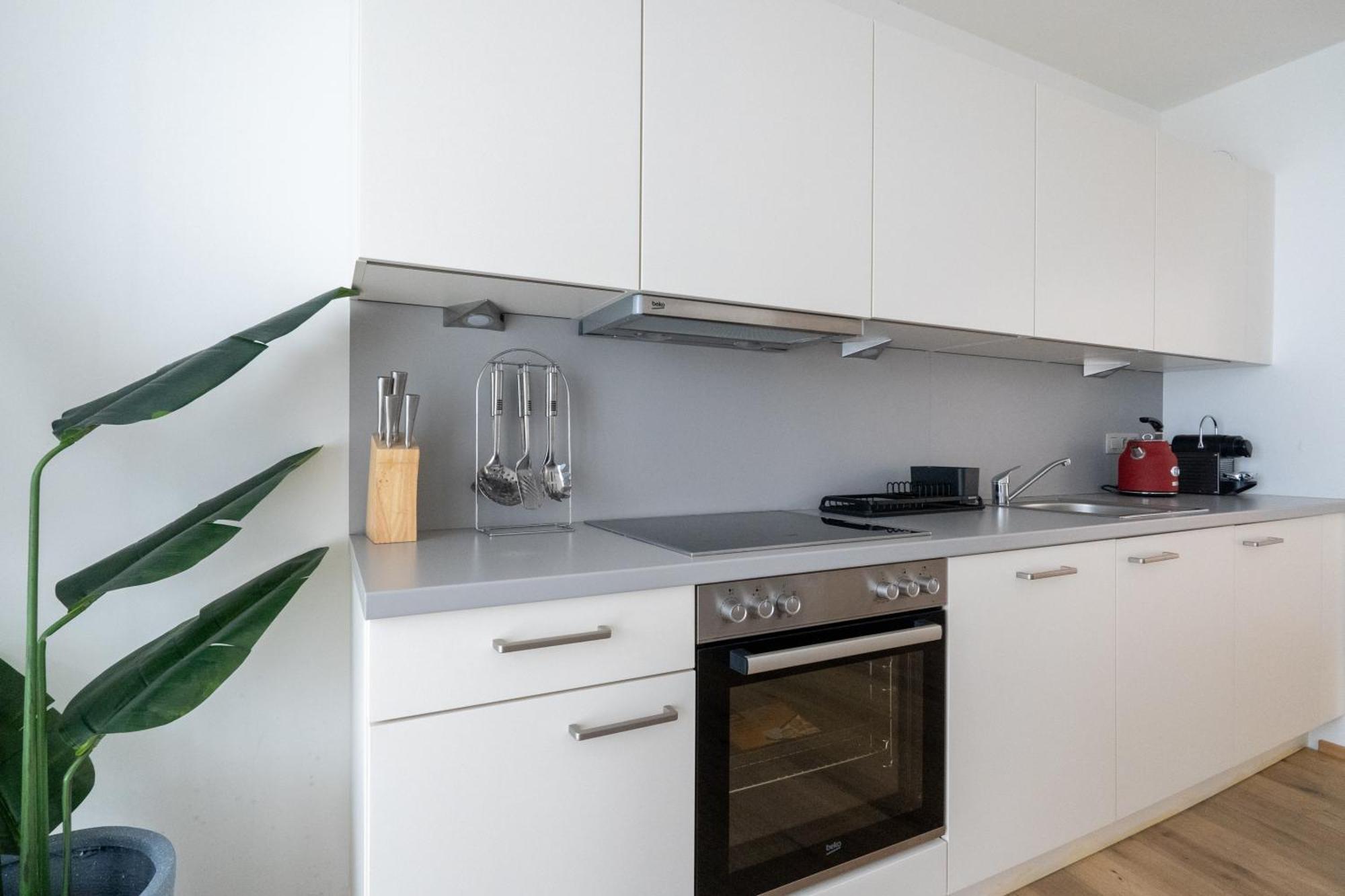 Balcony Bliss Studio By Hm Apartment Vienna
