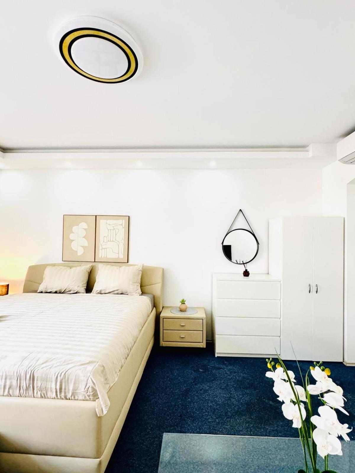 Apartment 7br For Big Groups, With Great Location