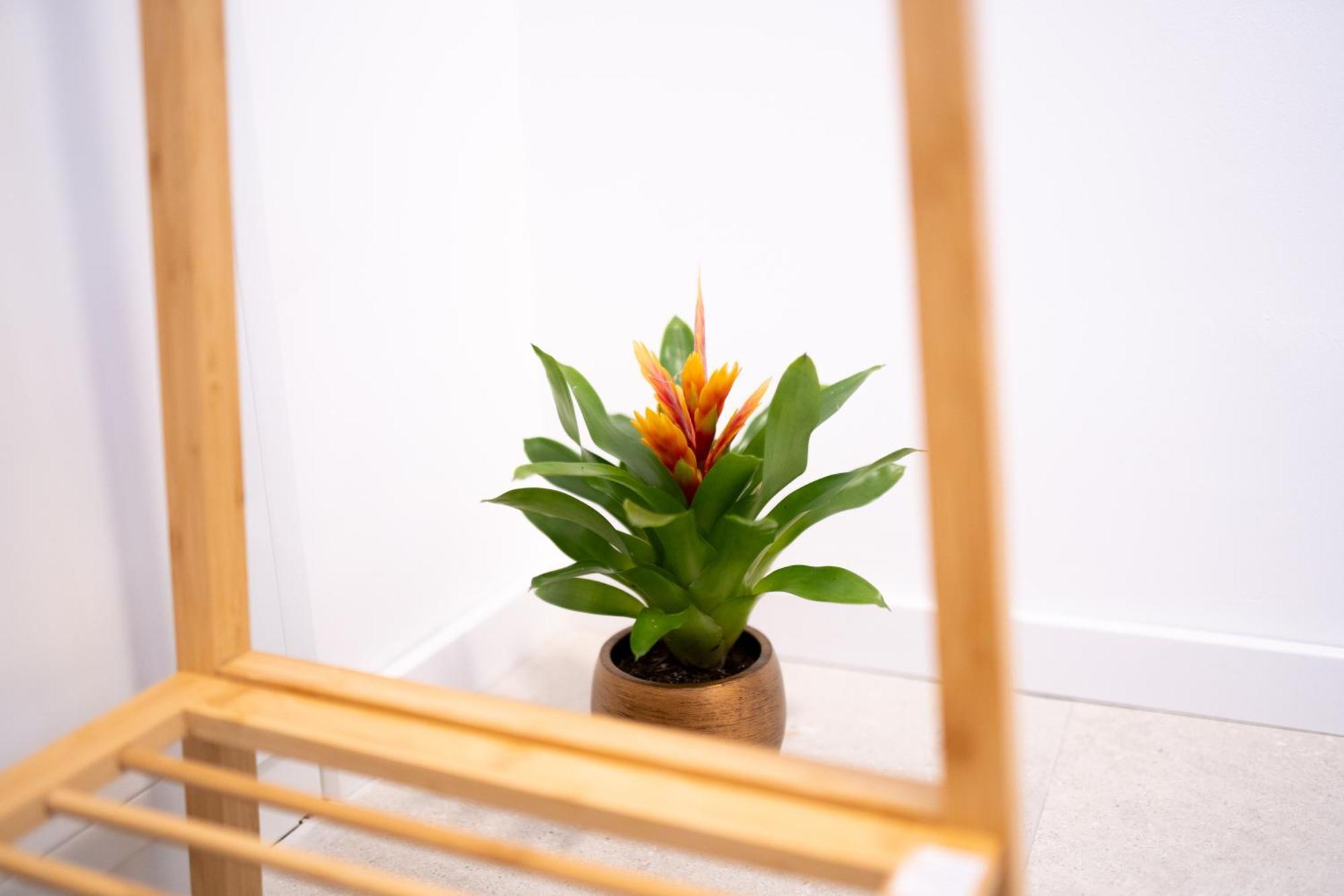 Stylish Modern With Terrace & Free Parking Apartment *