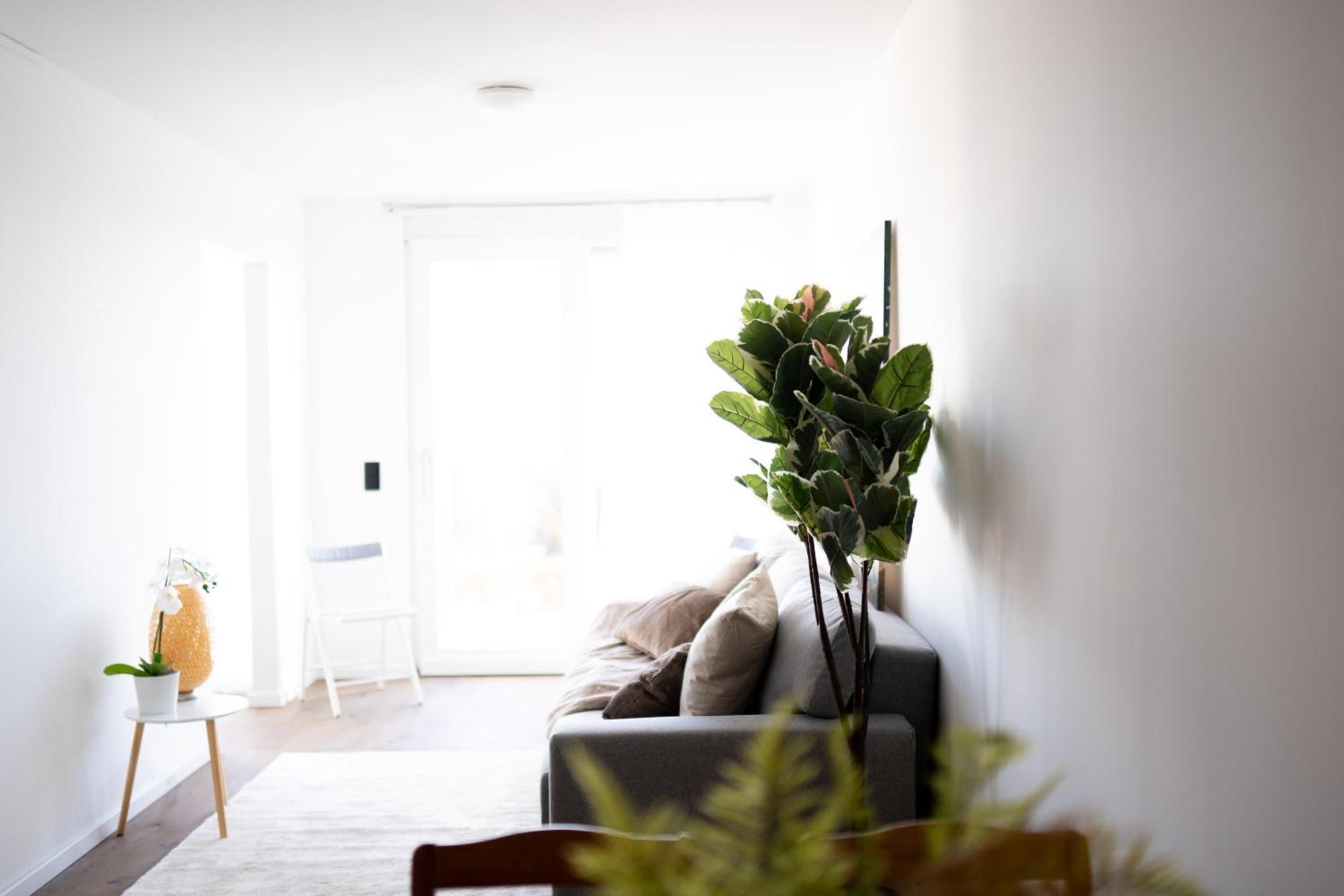 Apartment Stylish Modern With Terrace & Free Parking