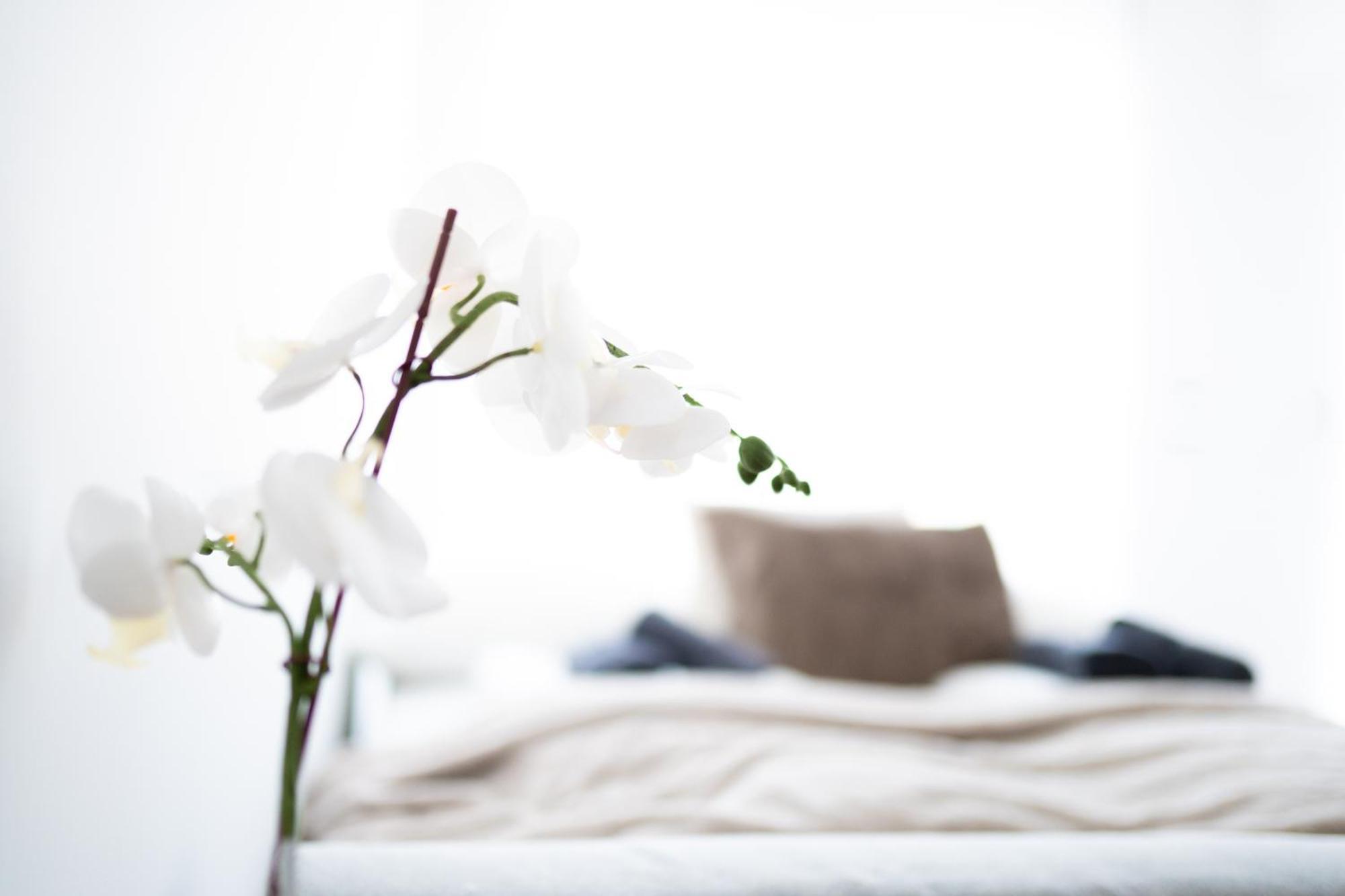 Stylish Modern With Terrace & Free Parking Apartment *