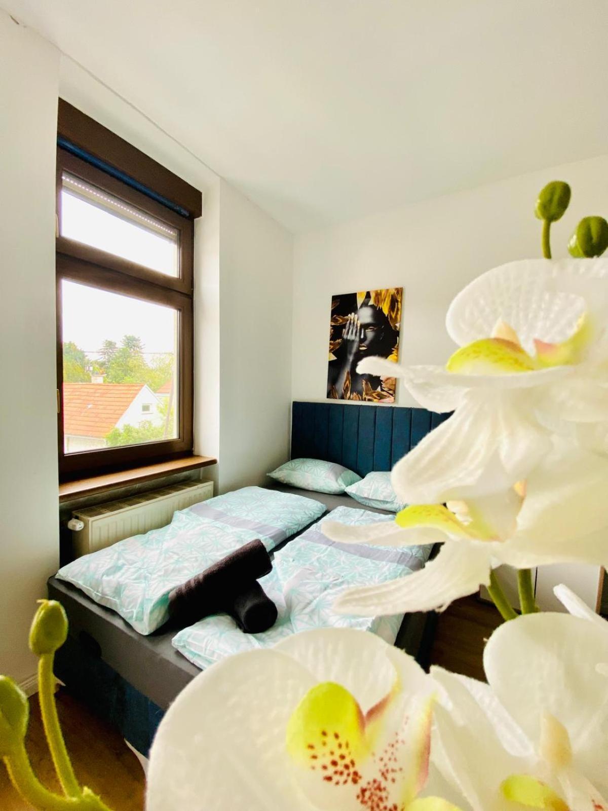 Spacious 4br Up To 15 Guests 15 Min To Danube Apartment