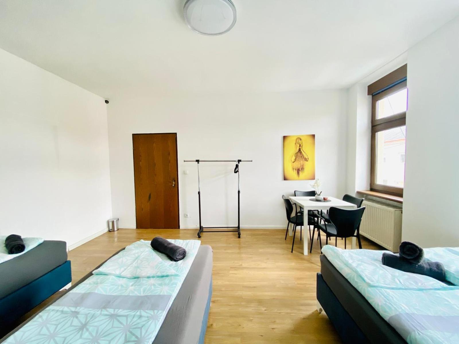 Apartment Spacious 4br Up To 15 Guests 15 Min To Danube *