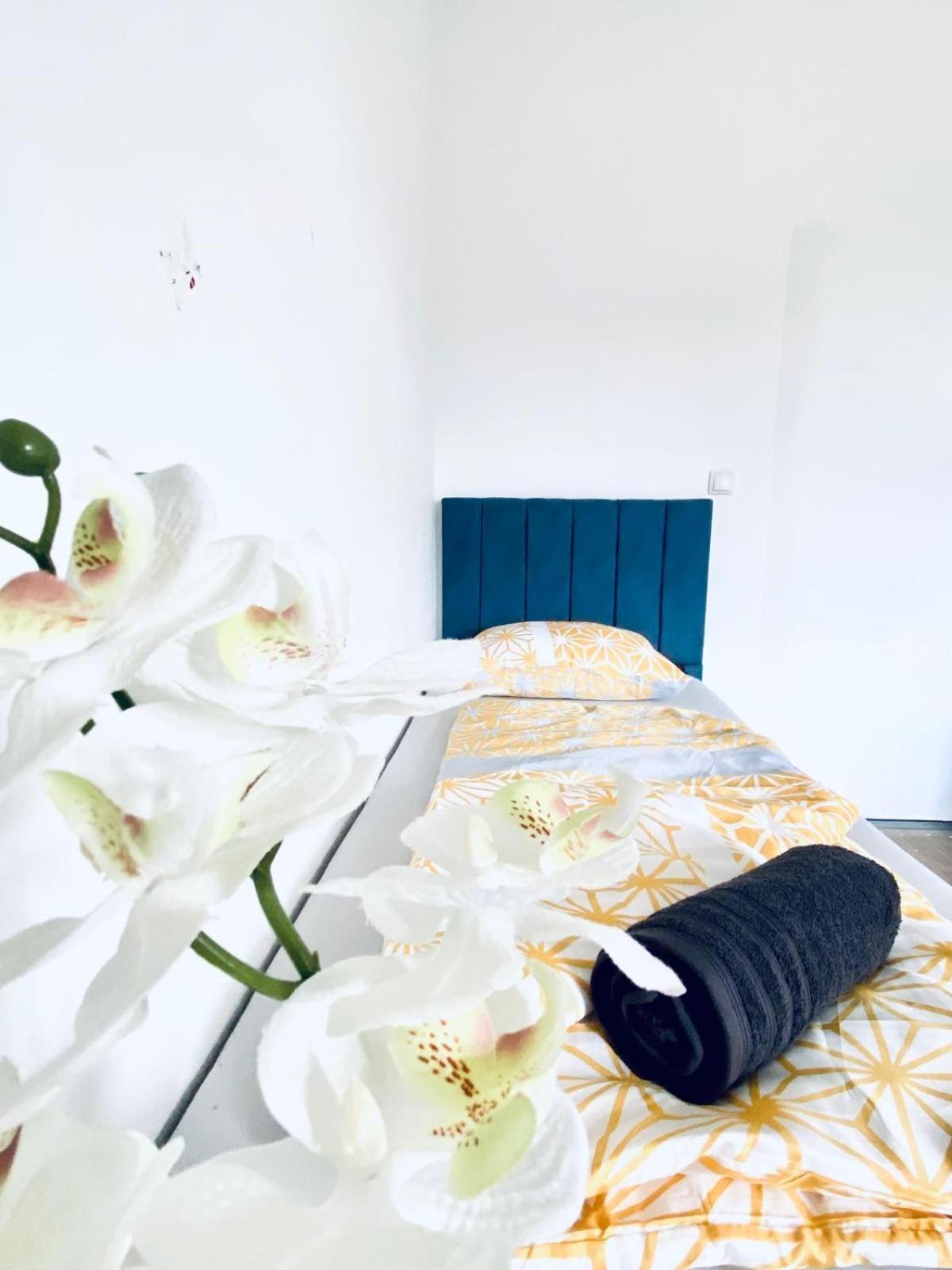Apartment Spacious 4br Up To 15 Guests 15 Min To Danube Vienna