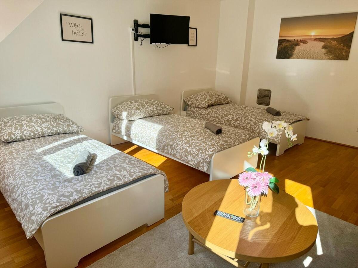 75 M2 Rooftop Central Apartment Vienna