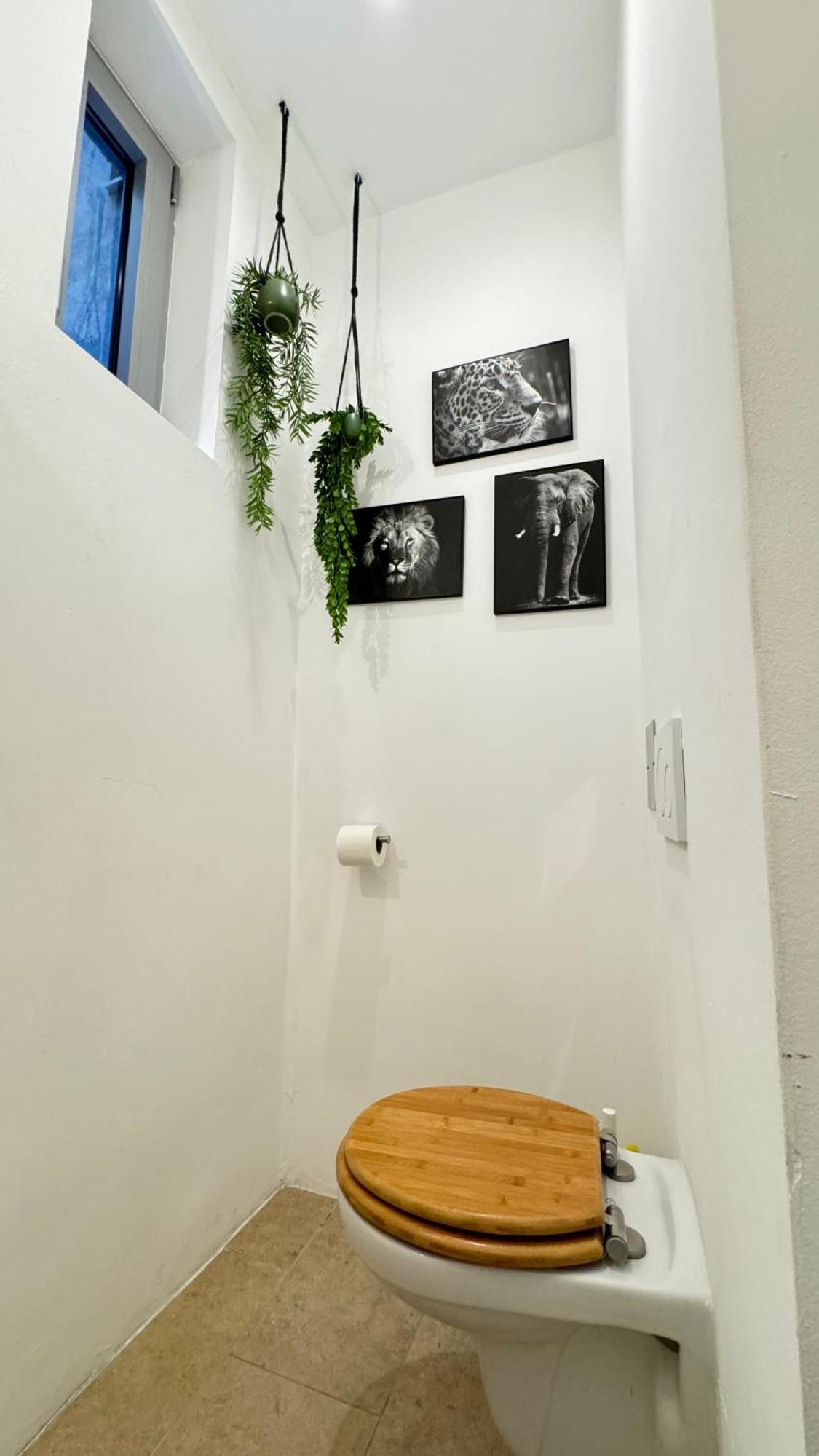 African Paradise With Jacuzzi & Sauna Wien
