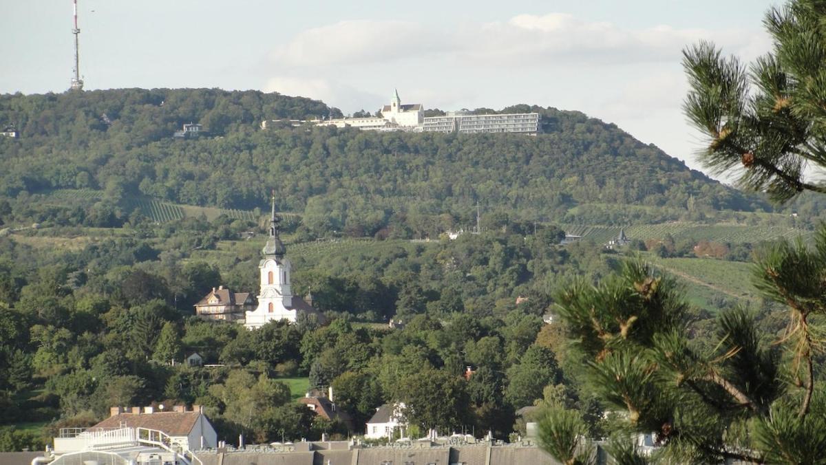Krotti Hills Vienna