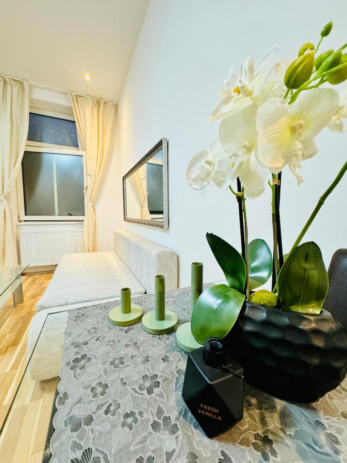 Chic For 5p, 12-min Walk To Augarten *