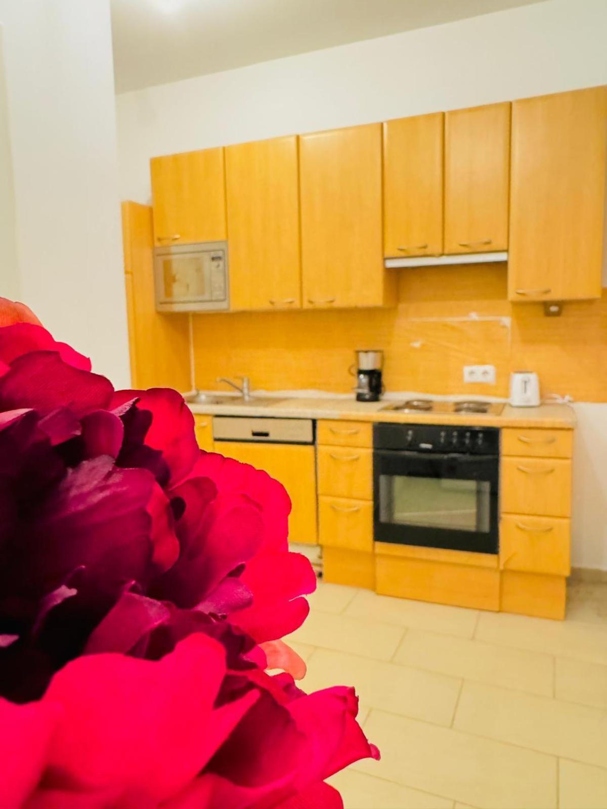 Chic For 5p, 12-min Walk To Augarten Apartment