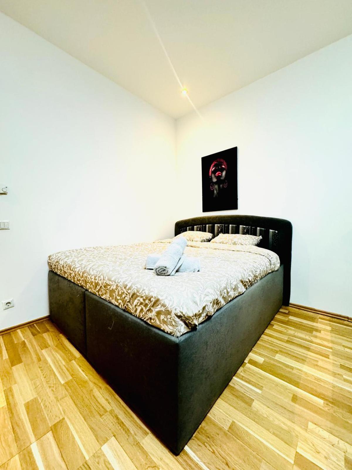 Chic For 5p, 12-min Walk To Augarten *