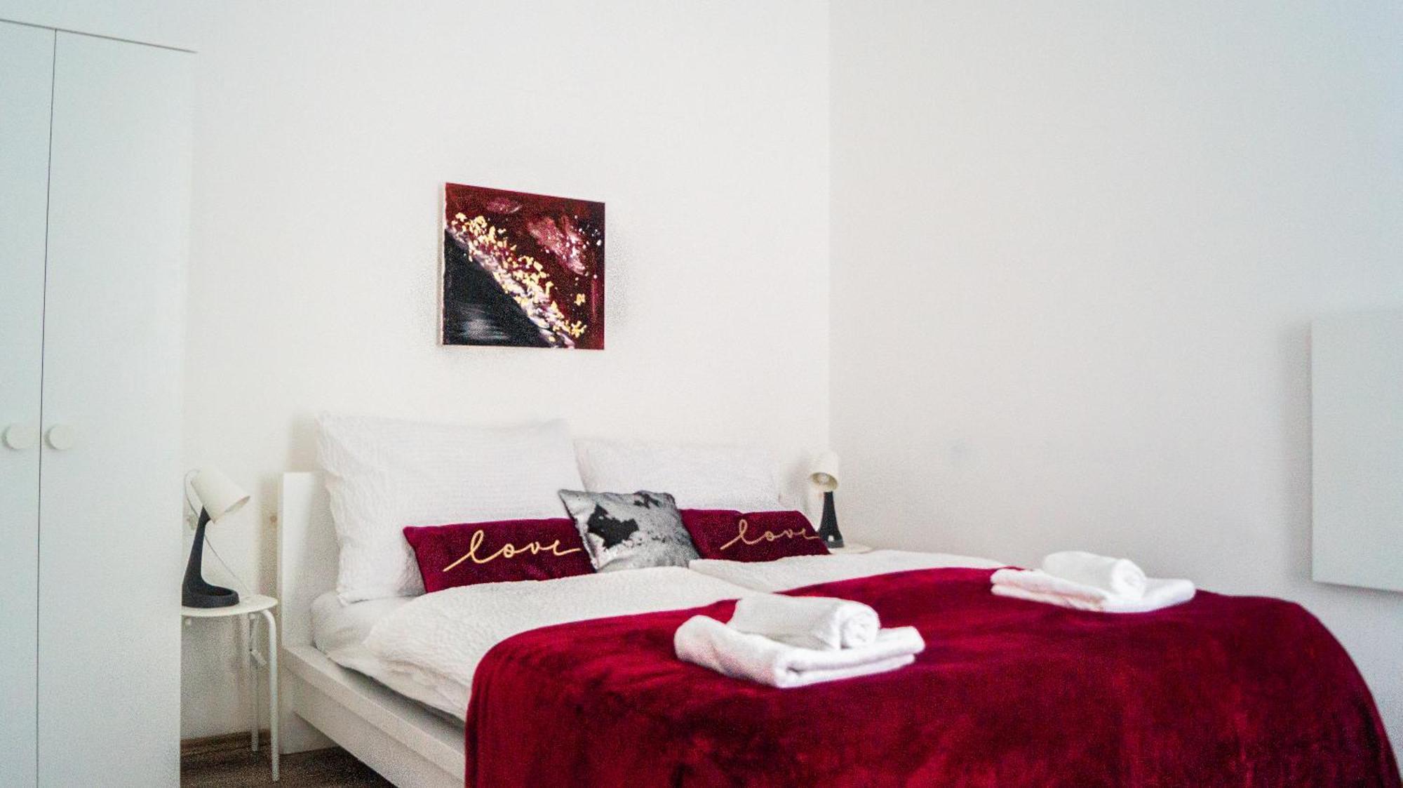 2 Spacious Apts For 6p, Only 7min To Stadthalle Apartment *