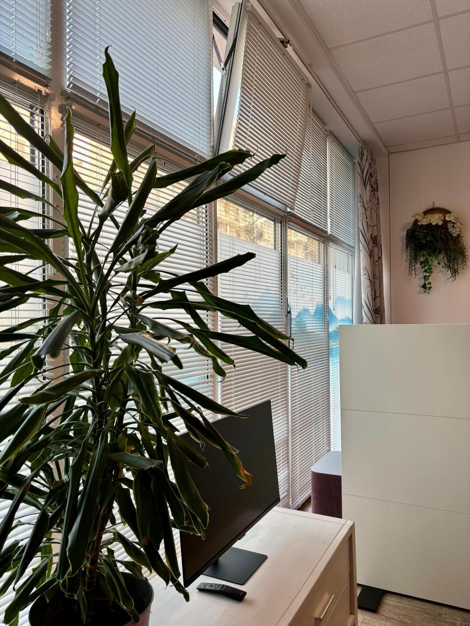 Ferienzimmer Seepark Apartment *
