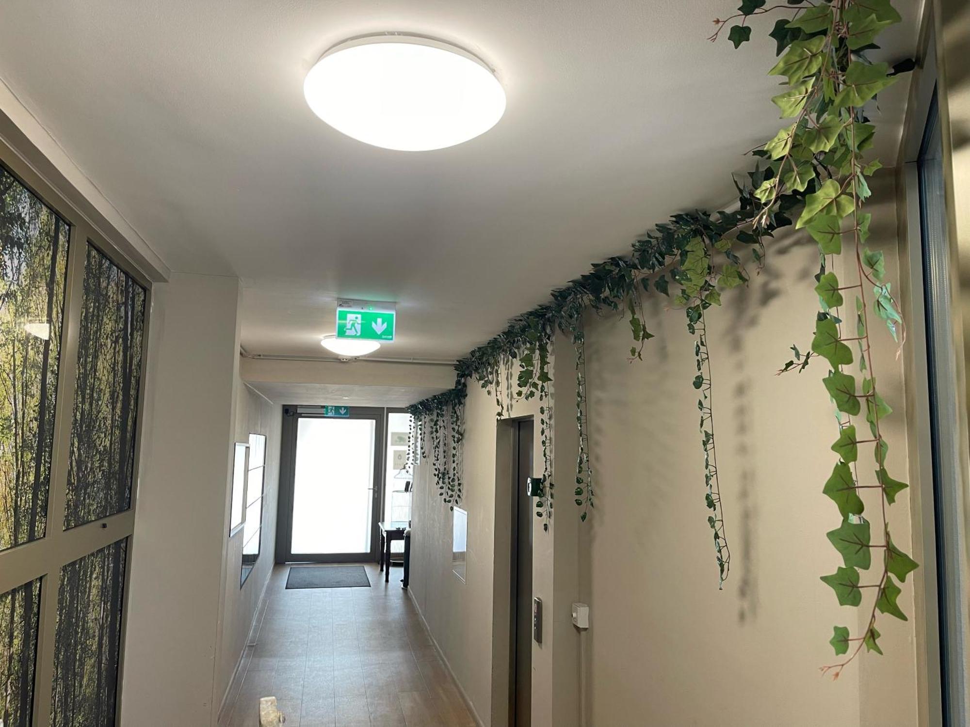 Hostel Nest Vienna