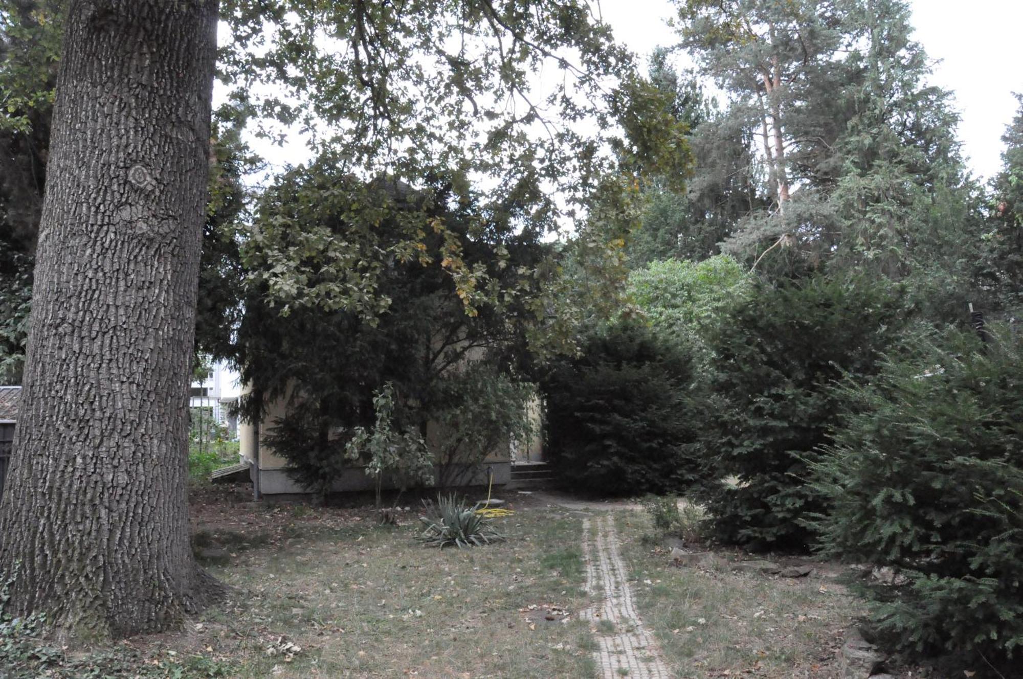 Casa vacanze House Near To Schoenbrunn - Free Parking - 24-7 Check In - 8 Person Vienna