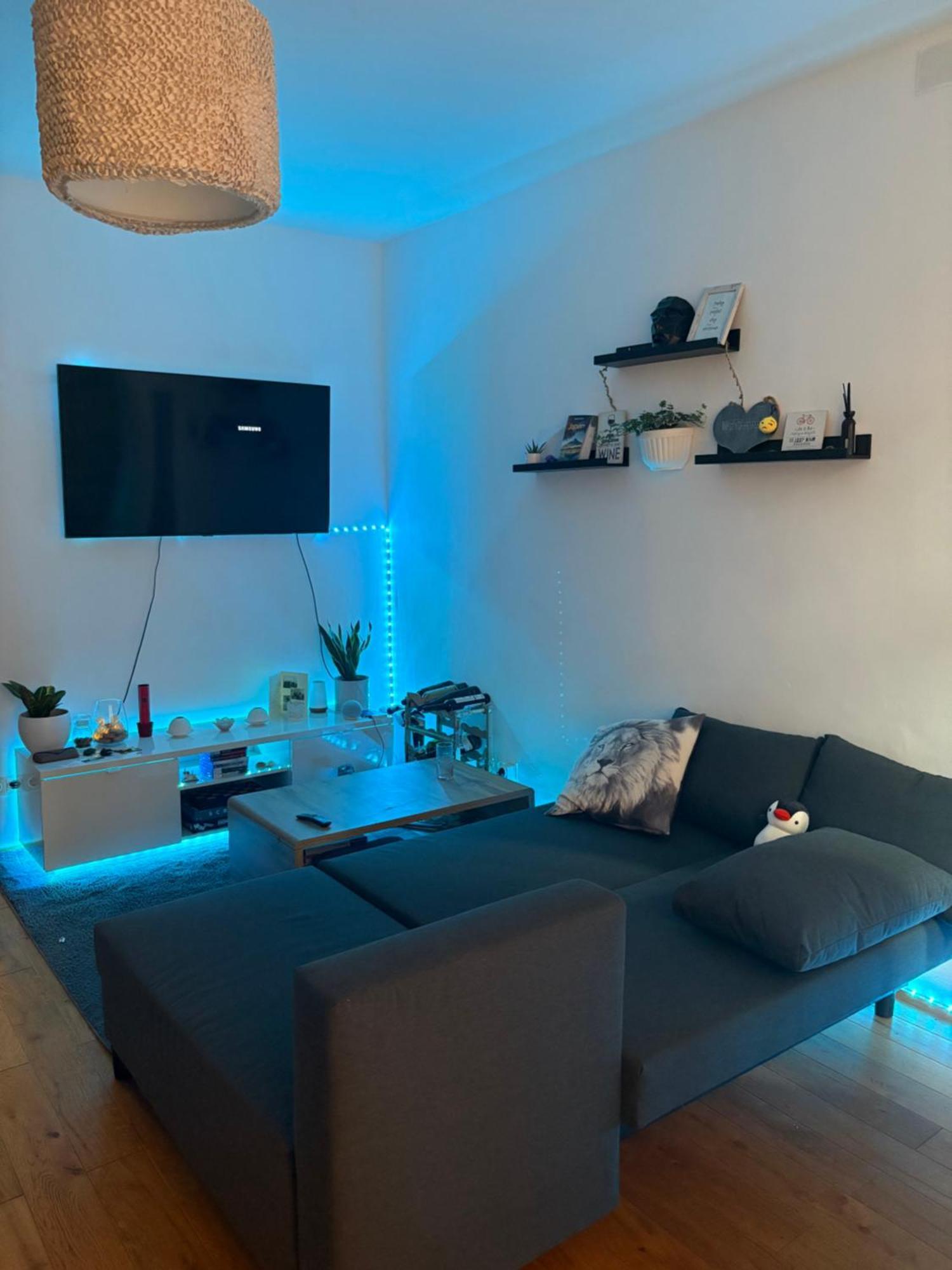 Homestay With Garden In Ottakringer Vienna