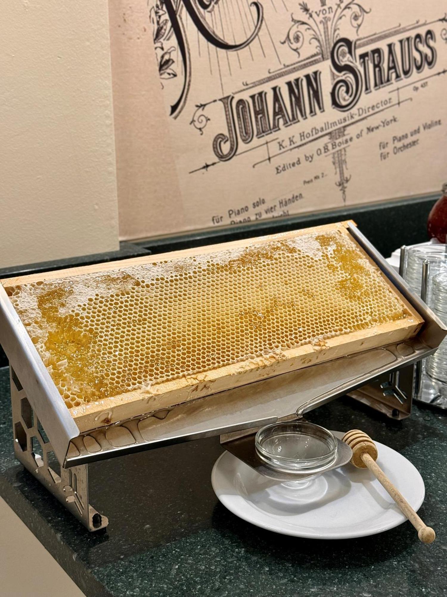 Hotel Johann Strauss Vienna