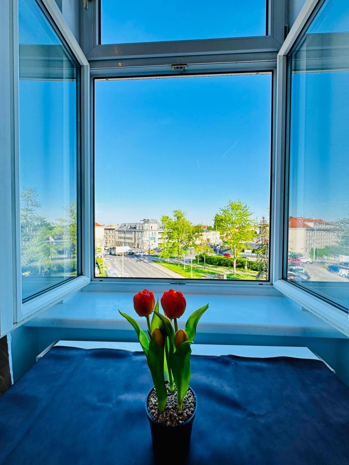 Spacious 3br Shared Near Kaufpark Alterlaa