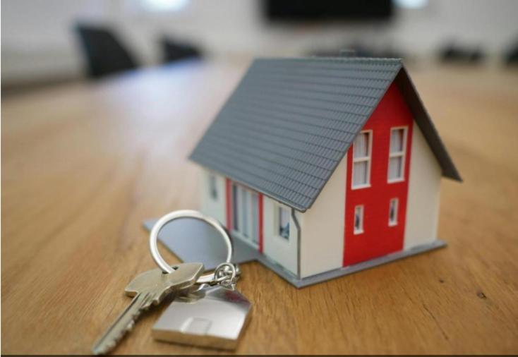 Cute Apartamento