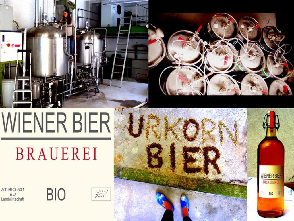 Bed & Breakfast Wiener Gaeste Vienna