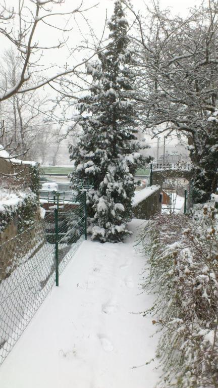 Vienna Cottage