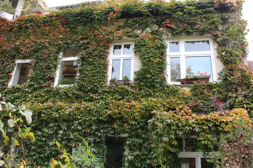 Hotel Wiener Kindl 3*