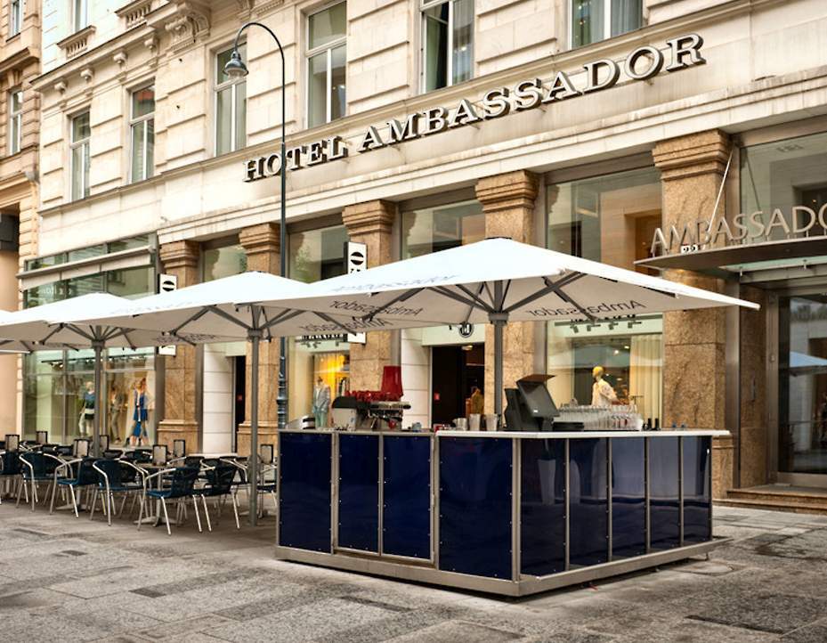 Ambassador Vienna