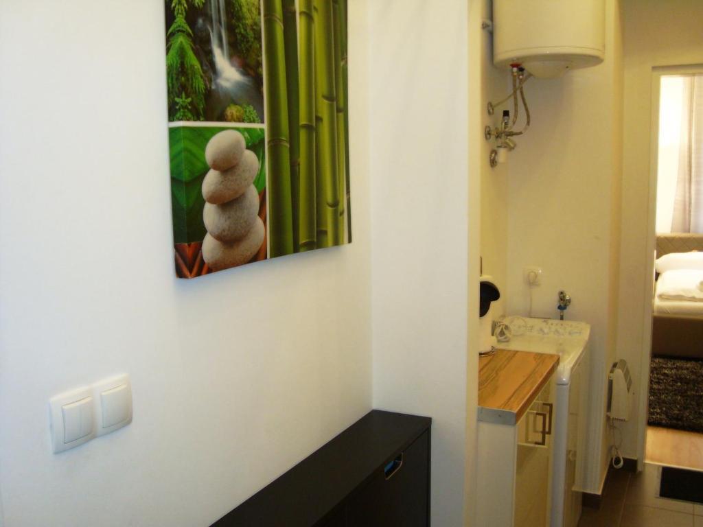 Apartment Enenkelstrasse Vienna