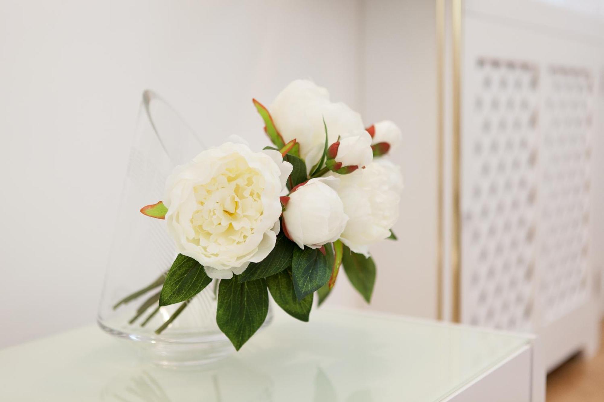 Appartamento Vienna-flats Vienna