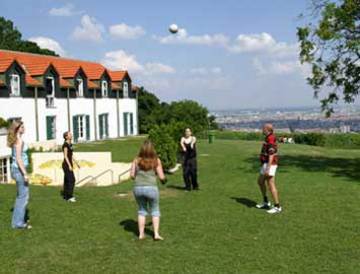 Palace Vienna